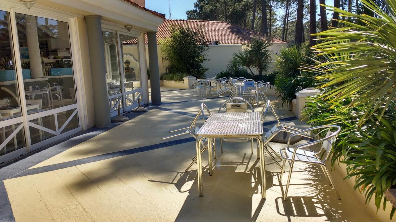 Garden View 2 Dormitorios Con Jardin Y Parrillero Hasta 7 Personas Пунта дел Есте Екстериор снимка